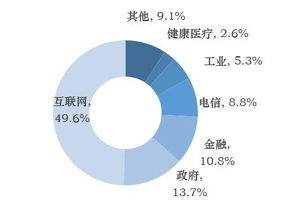 賽迪數(shù)據(jù) 互聯(lián)網(wǎng)、政務(wù)與金融成大數(shù)據(jù)發(fā)展核心，互聯(lián)網(wǎng)數(shù)據(jù)服務(wù)價(jià)值凸顯